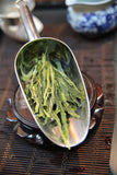 Taiping Houkui Green Tea 2020(50 grams) - KHC t-house