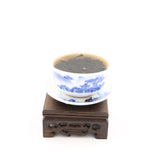 Homemade Chaozhou Style medium roasted Oolong tea - KHC t-house